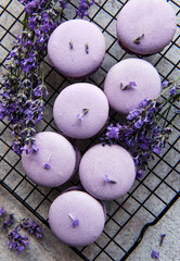 French macarons with lavender flavor