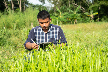 Naklejka na ściany i meble Asian smart farmer woman hands touching tablet, smart farming technology agriculture development at rice paddy field.