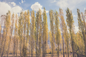 Leh city is a town in the Leh district of the Indian state of Jammu and Kashmir. It was the capital...