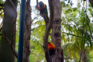 オーストラリア・アデレードの観光名所を旅行している風景 Scenes from a trip to Adelaide, Australia.
