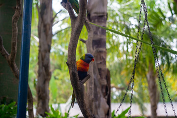 オーストラリア・アデレードの観光名所を旅行している風景 Scenes from a trip to Adelaide, Australia.