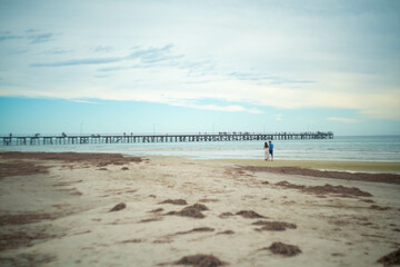 オーストラリア・アデレードの観光名所を旅行している風景 Scenes from a trip to Adelaide, Australia.