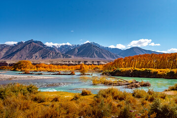 Leh city is a town in the Leh district of the Indian state of Jammu and Kashmir. It was the capital...