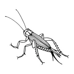 Brownie cricket. Vector stock illustration eps10. Hand drawing, outline. Isolate on a white background. 