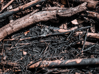 the remains of the wood that have been burned are black