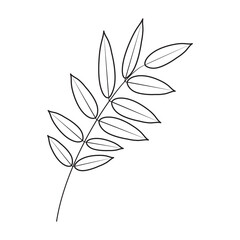 Vector rowan leaf. Autumn leaf. Black line illustration.