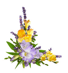 Purple and yellow freesia flowers in a corner floral arrangement isolated on white