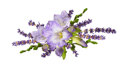 Purple freesia flowers with lavender in a line floral arrangement isolated