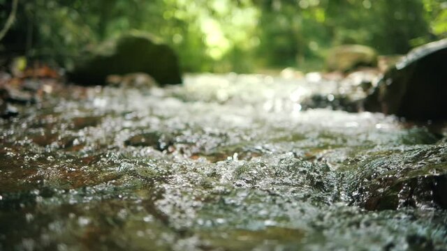 Wild mountain river flowing through stone boulders, Water clear stream river flowing in the deep forest, Slow motion