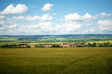 Fototapeta na wymiar landscape with field and blue sky