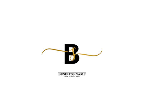 Letter BS Logo, creative bs sb signature logo for wedding, fashion, apparel and clothing brand or any business
