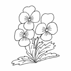 Hand drawing flower arrangement doodle or sketch style, postcard, poster, coloring book page, black and white vector