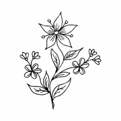 Hand drawing flower arrangement doodle or sketch style, postcard, poster, coloring book page, black and white vector