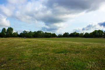 field and blue sky