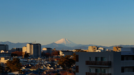 青空を背景に朝日に黄色く染まる富士山と街の家々