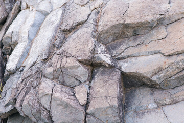 
texture of gray stone with cracks. Texture mountain close up. Background for wallpaper on the phone, computer with the texture of a stone mountain