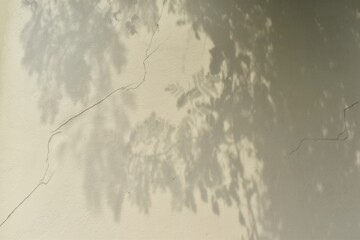 natural tree branches shadows on cracked white cement wall background