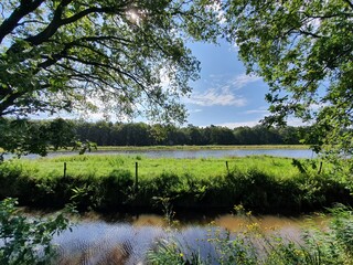 landscape with trees clouds and river