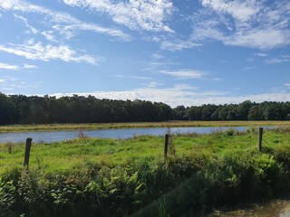 Obraz premium landscape with trees clouds and river