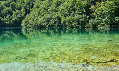 Beautiful calm lake with clear water in the forest in summer