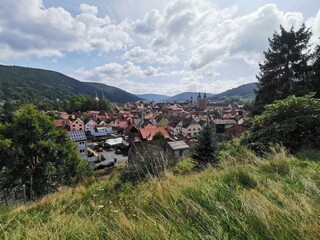 Fototapeta na wymiar Panorama Ausblick auf Fürstenresidenz Stadt Amorbach