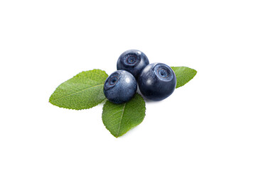 Three wild blueberries with leaves on white background