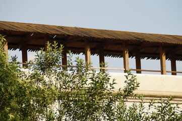 Fototapeta na wymiar birds on the roof