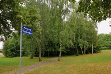 Forest road. Mosty birch trees. Cloudy summer day at the Swedish countryside. Signs at a metal pole. Small graveled path. Near Skara, Västergötland, Sweden, Europe.