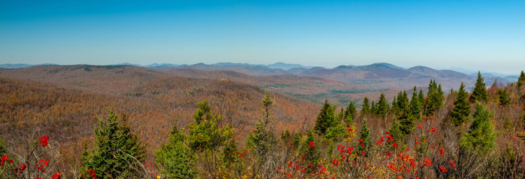 Adirondacks autumn colours from top of Hadlen Mountain, New York