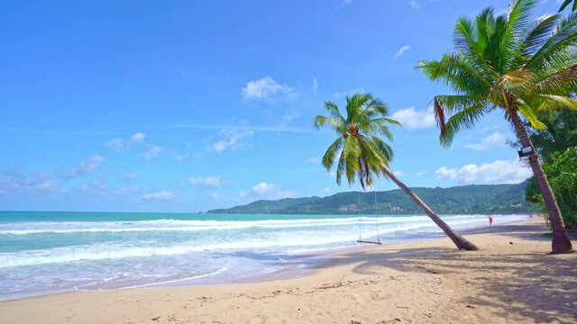 Beautiful coconut palm trees on the beach Phuket Thailand Palms trees frame at Summer sunny sky background Palms grove on the beach with Blue sky Summer landscape background