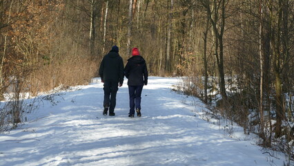 Dwoje ludzi idących zimową alejką wśród drzew.