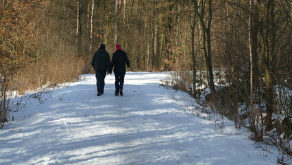 Zimowy spacer dwojga ludzi leśną alejką