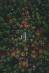 Aerial view of an abandoned plane in a forest