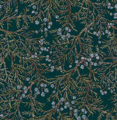 Seamless pattern with juniper branches and berries. Background with fir branches