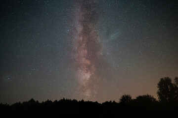 Fototapeta na wymiar Perseid meteor shower above a forest in rural Poland