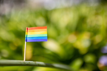 Miniature gay pride LGTBI flag pinned to a branch of a green bush.