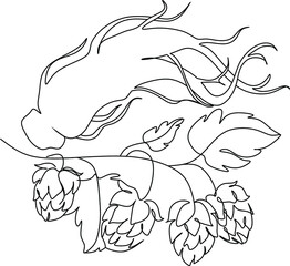 Hop line art