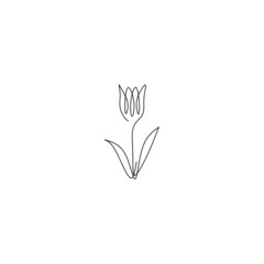 Naklejka na ściany i meble Continuous line drawing of tulip, flower design, object one line, single line art, hand drawn, vector illustration