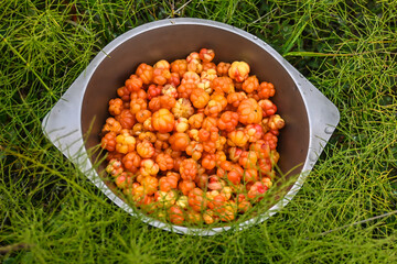 Ripe cloudberries in a bowl.
