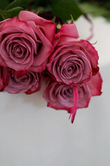 bouquet of roses. Pink Rose. 