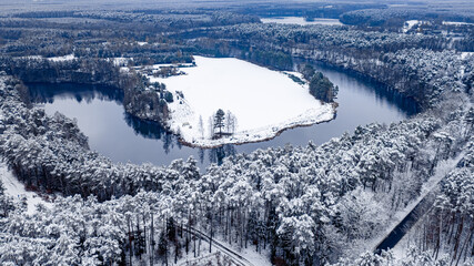 Snowy forest and river. Aerial view of winter nature