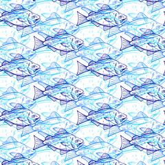 Seamless pattern hand drawn blue fish isolated on white background. Vector illustration.