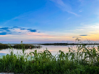 dawn in the south Florida swamp