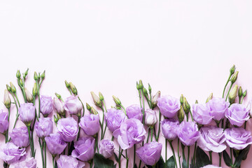 Flowers composition. purple flowers on pink background. Spring, easter ,birthday card concept mock up. Flat lay, top view, copy space.