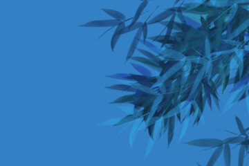 bamboo leaves on a colorful background