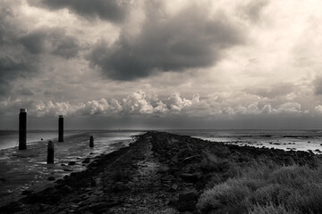 Black and white picture on the island of Ameland the Netherlands