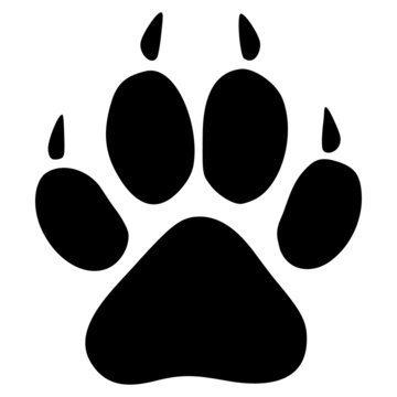 Tiger footprint icon with flat style. Isolated vector tiger footprint icon image on a white background.