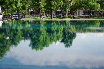 reflection of trees in water