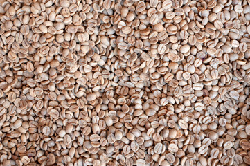 Coffee seed, raw coffee.