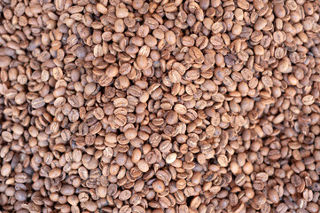 Coffee seed, raw coffee.